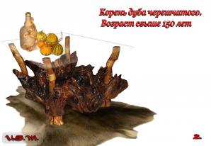 ������ ������ ������ � ����� ���-���� �� ���������� V&S �alai. (����)