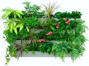 ���������� � ����������� HydroFalls (����)