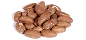 ���� �������� ���� (Petei Cola, Bitter Kola) ������ (����)