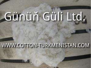 - ( ) - Raw Cotton ()