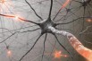 Лечение различных заболеваний во Владивостоке (Фото)