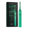 ������������� ����� ��� ����� rl040 green dragon �� revyline, ������������ (����)