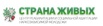Бесплатный центр реабилитации наркозависимых в Москве (Фото)