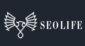 SeoLife - ��������� ��� ������ (����)