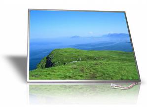 Ламповая матрица (дисплей на ноутбук) 14,1 LCD за 3800р. (Фото)