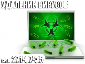 Чистка ноутбука от вирусов в Красноярске (Фото)