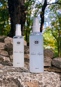 ����� ��� ���� �� ������ Silver Shein. ������� (����)