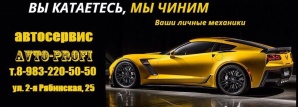 ���������� AvtoProfi (����)
