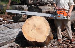 ��������� Stihl-880 + ��� ���� �� 90 � 150 ��.+4 ���� (����)