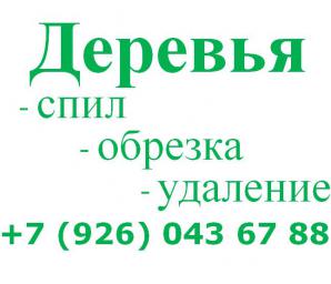 Удаление крон деревьев. Удалить дерево. Спил деревьев. (Фото)