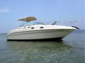 �������� ����� ���������-�������� Sea Rey 260 Sundancer 2005� (����)