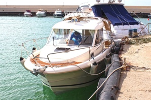 ����� Merry Fisher 725 (����)