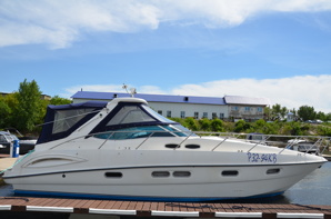 �������� ���� Sealine s38 (����)