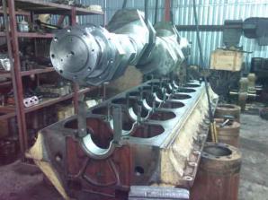 ���� ������������ � ������� ����  ��� 6 NVD 48 A2U (����)