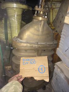������ �������� � ������� dikkan �� ��300 �� ��500 (����)