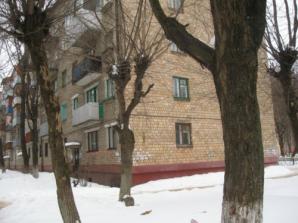 Недорого 3-комнатная квартира в центре Электростали (Фото)
