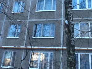 Продам 2-комнатную квартиру город Москва ул. Островитянова д. 23к1 (Фото)