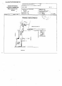 �������� Corso Como � ������ (����)
