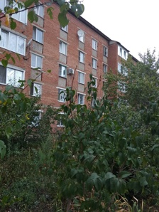 ������ �������� � ������ ����������� (����)