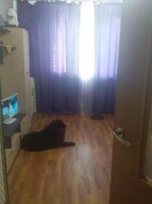 ������ 2-� ��������� �������� (����)
