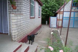 Продается частный дом в селе Донское (Фото)