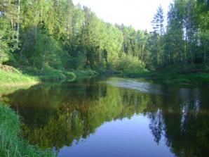 Продаются деревенские дома 200-300 км от МКАД (Фото)