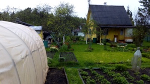 Продам участок с дачей в 8 км от города Выборга (Фото)