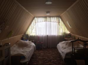 Продам сад дачного типа (Фото)