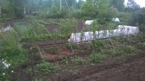 Продам участок 13.6 соток, земли сельхозназначения (СНТ, ДНП), 25 км до города (Фото)