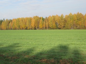 Земельный участок - 103 га, Завьяловский р-н, Удмуртия (Фото)