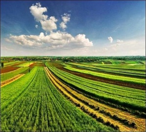 Продам земли сельхоз назначения 8000 га (3750р. 1га.) (Фото)