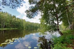 Участок в аренду 2 га. Озеро расположено недалеко от КАД (Спб), в 10 км (Фото)