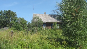 Продажа или обмен участка в луге (Фото)