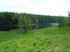 Участок "Никаново" 1,64 га. Сельхоз. Выборгский район, ЛО (Фото)