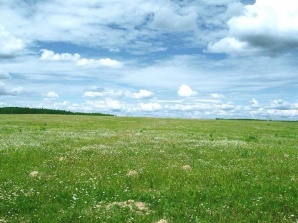 Продается земля сельскохозяйственного назначения (143 Га), село Бестужево (Фото)