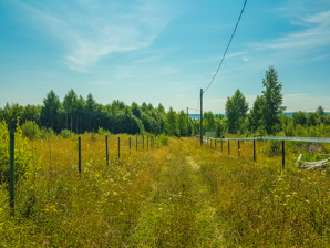 Участок 17 сот. (СНТ, ДНП) в Красная Слудка (Фото)
