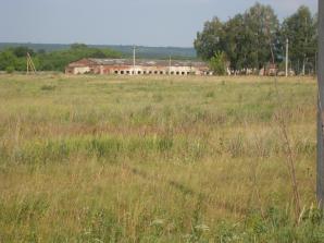 Продам землю сельскохозяйственного назначения 54га (Фото)