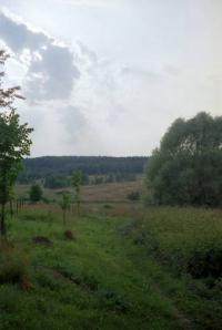 Очень глухое, безлюдное место в Калужской области (Фото)