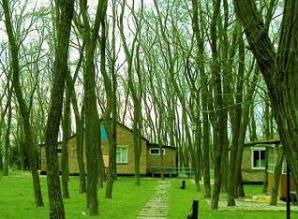 Продам базу в курортной зоне, 10 км от Таганрога (Фото)