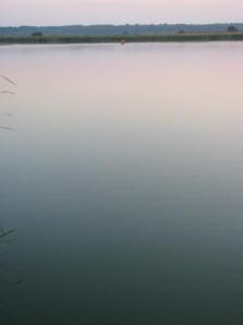 Сдается дача на лето рядом с озёрами (Фото)