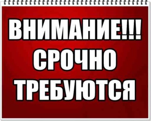 Приглашаем на работу авторов по написанию студенческих работ (Фото)