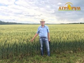 ���� ���������� �������� ������� � ������� No-till ������� (����)