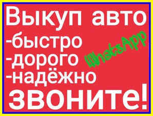 ����� ���� (����)