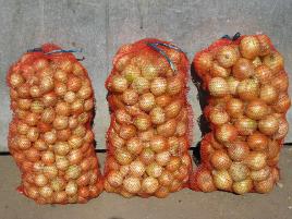 Производитель продаёт крупный лук репчатый (Фото)
