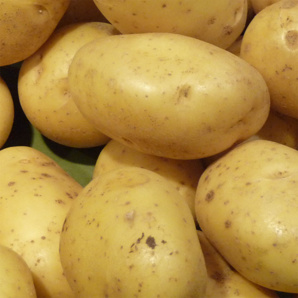 ��������� ��������� ����� ��� �������, �����, ������ � ��� (����)