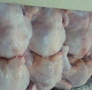 Окорочка, филе, тушка ЦБ, мясо птицы, оптом (Фото)