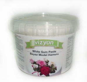 ������� ��������� Vizyon ��� ����� (����)