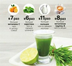 �������� ��� WheatGrass ��� ��������� � �� ���� �������� �� ������� ������� (����)