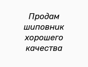 Продам шиповник хорошего качества (Фото)