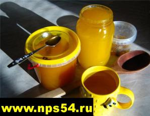 Мёд Алтайский, продам в Новосибирске, Бердске, Искитиме, Академгородке (Фото)